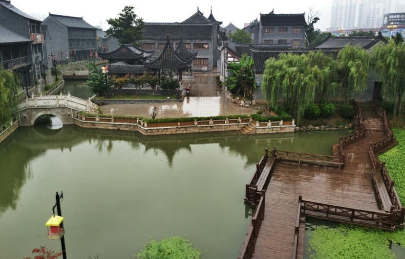 【代表委员访谈】杨正国：用技术经理人打通科技成果转化“最后一公里”